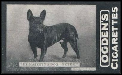 150 His Majesty's Dog Peter